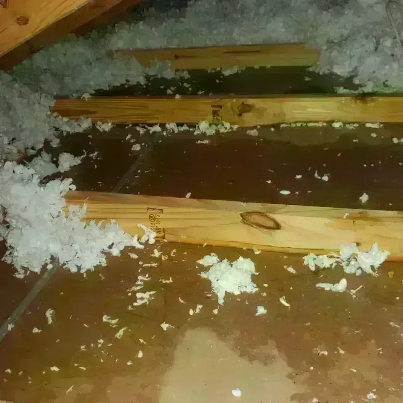 Attic Water Damage in Springdale, PA