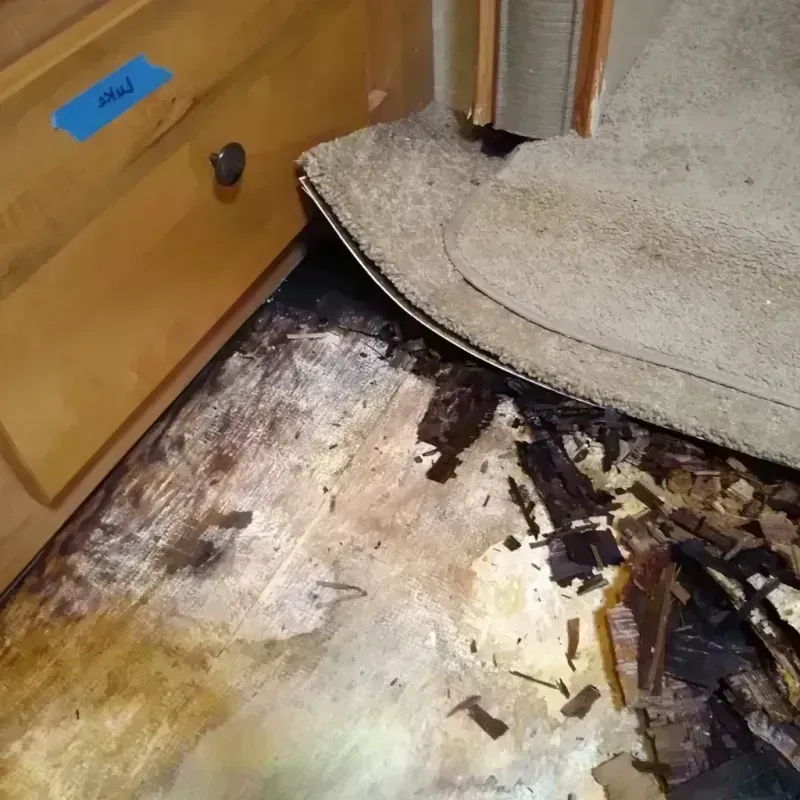 Wood Floor Water Damage in Springdale, PA